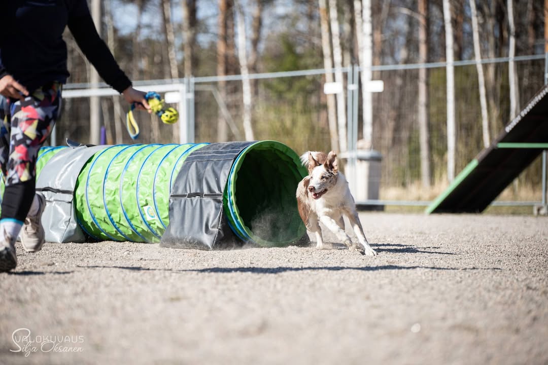 Rauman VauhtiTassut ry