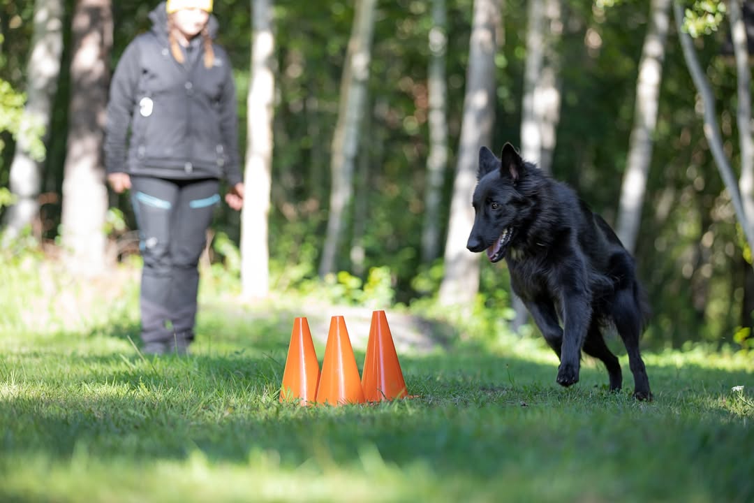 Rauman VauhtiTassut ry