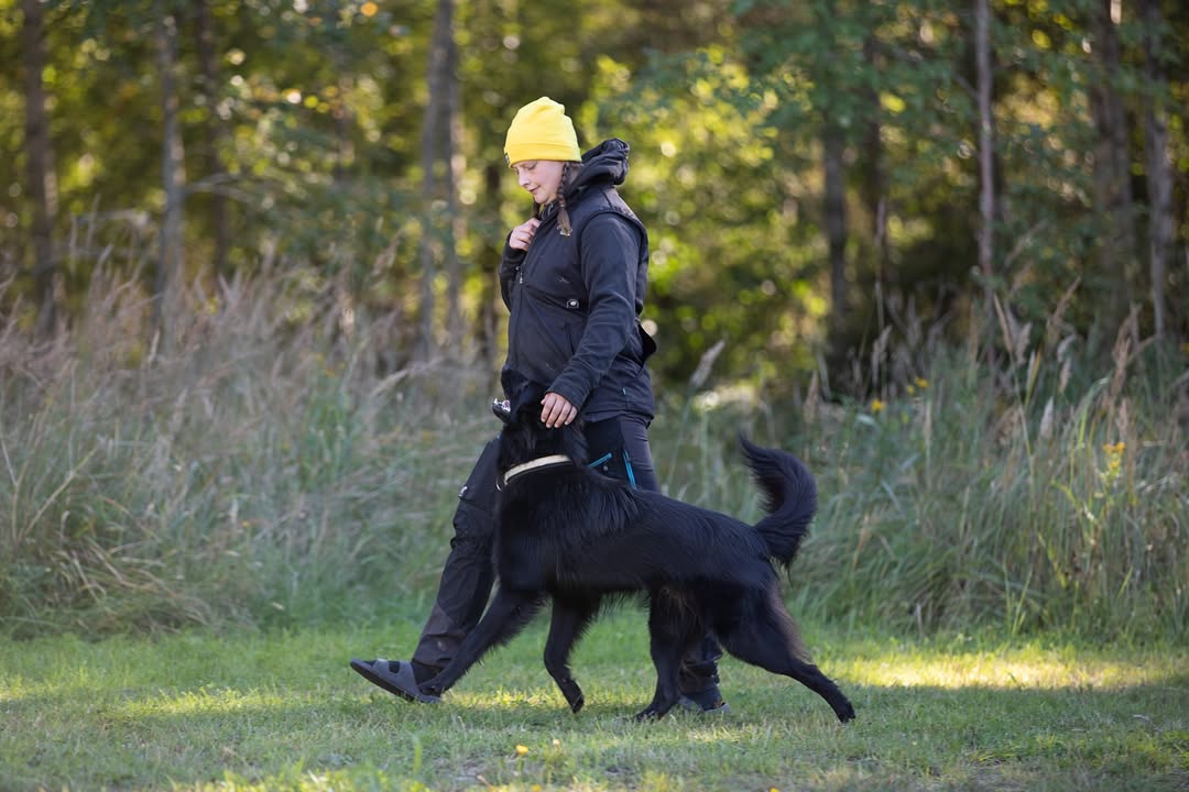 Rauman VauhtiTassut ry